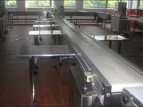 食品输送线报价与厂家选择指南，助力电子产品销售企业优化供应链